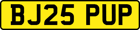 BJ25PUP