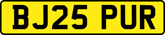 BJ25PUR