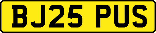 BJ25PUS