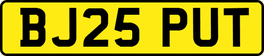 BJ25PUT