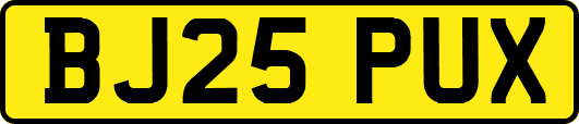 BJ25PUX