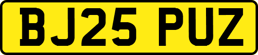 BJ25PUZ