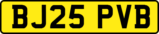 BJ25PVB