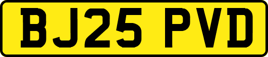 BJ25PVD