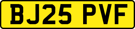 BJ25PVF