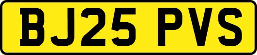 BJ25PVS