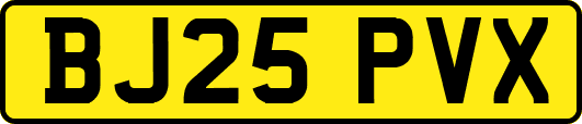 BJ25PVX