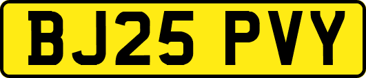 BJ25PVY