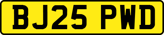 BJ25PWD