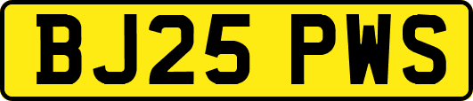 BJ25PWS
