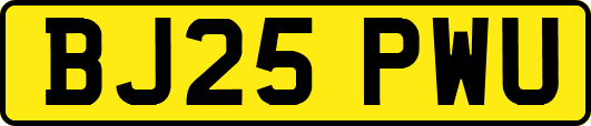 BJ25PWU