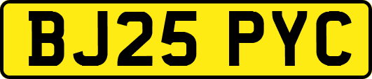 BJ25PYC