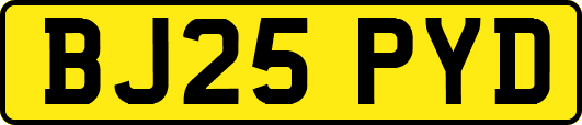 BJ25PYD