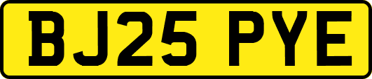 BJ25PYE
