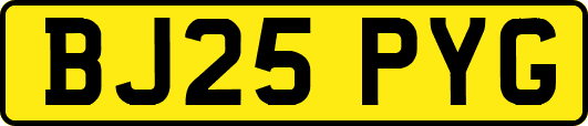 BJ25PYG