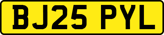 BJ25PYL