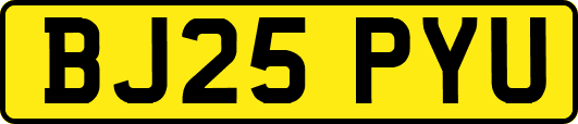 BJ25PYU