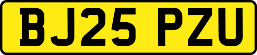 BJ25PZU