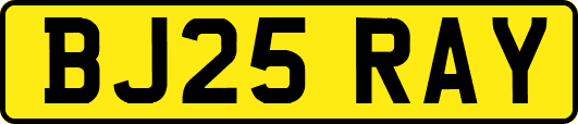 BJ25RAY