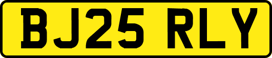 BJ25RLY