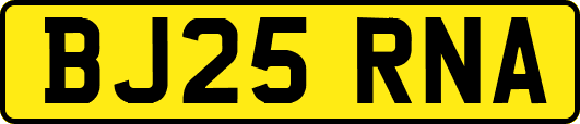 BJ25RNA