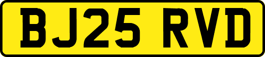 BJ25RVD