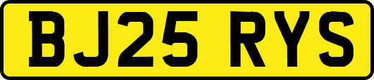 BJ25RYS