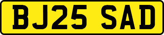 BJ25SAD