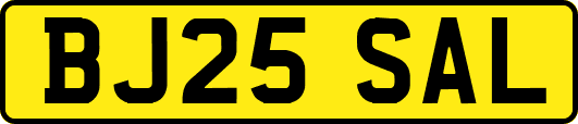 BJ25SAL