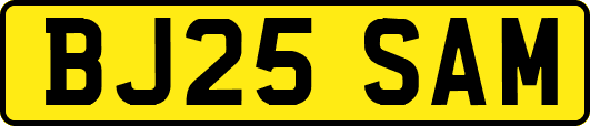 BJ25SAM