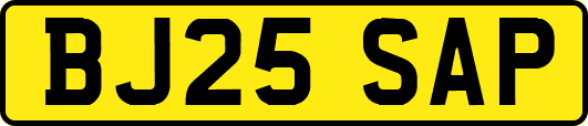 BJ25SAP