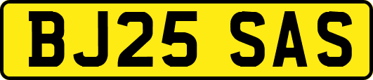 BJ25SAS