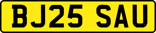 BJ25SAU