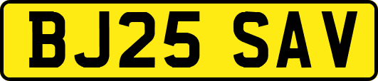 BJ25SAV