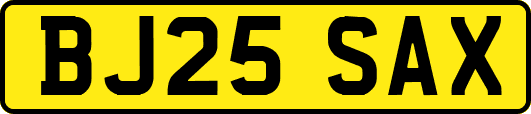 BJ25SAX