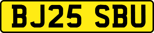 BJ25SBU