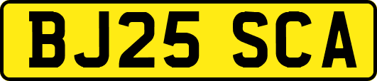 BJ25SCA