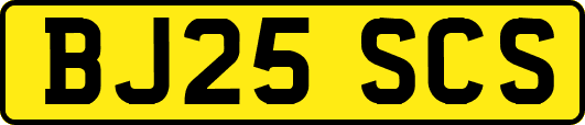 BJ25SCS