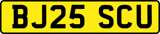 BJ25SCU