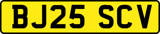 BJ25SCV