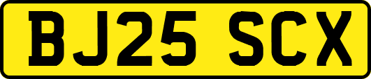 BJ25SCX