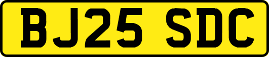 BJ25SDC