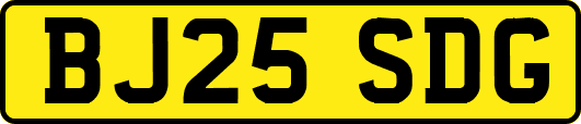 BJ25SDG