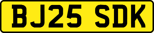 BJ25SDK