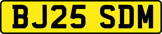 BJ25SDM