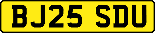 BJ25SDU