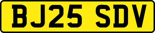 BJ25SDV