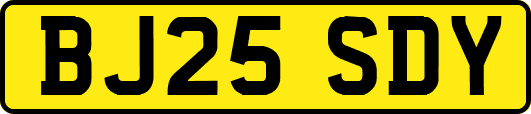 BJ25SDY