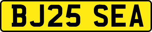 BJ25SEA