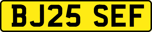 BJ25SEF